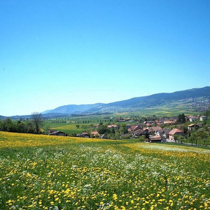 Du Val 2* Cernier